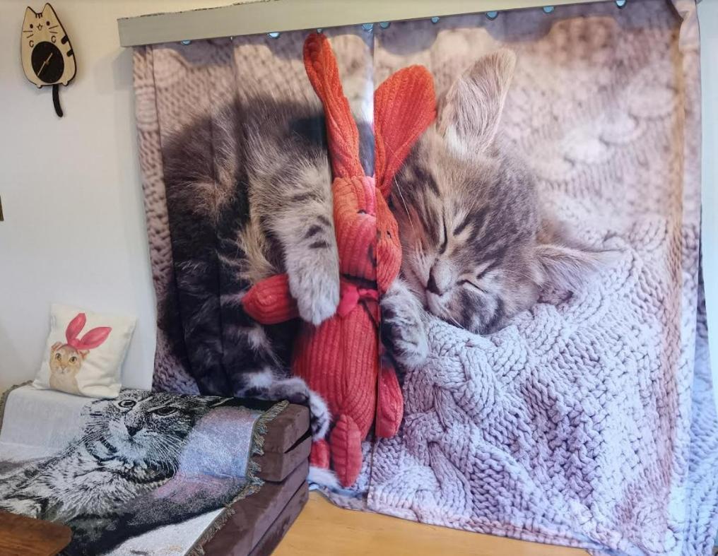 Tokyo Shibuya Shinjyuku Cat House !アパートメント エクステリア 写真